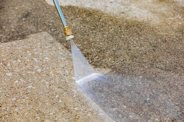 Best Sidewalk and Walkway Cleaning  in Wadena, MN